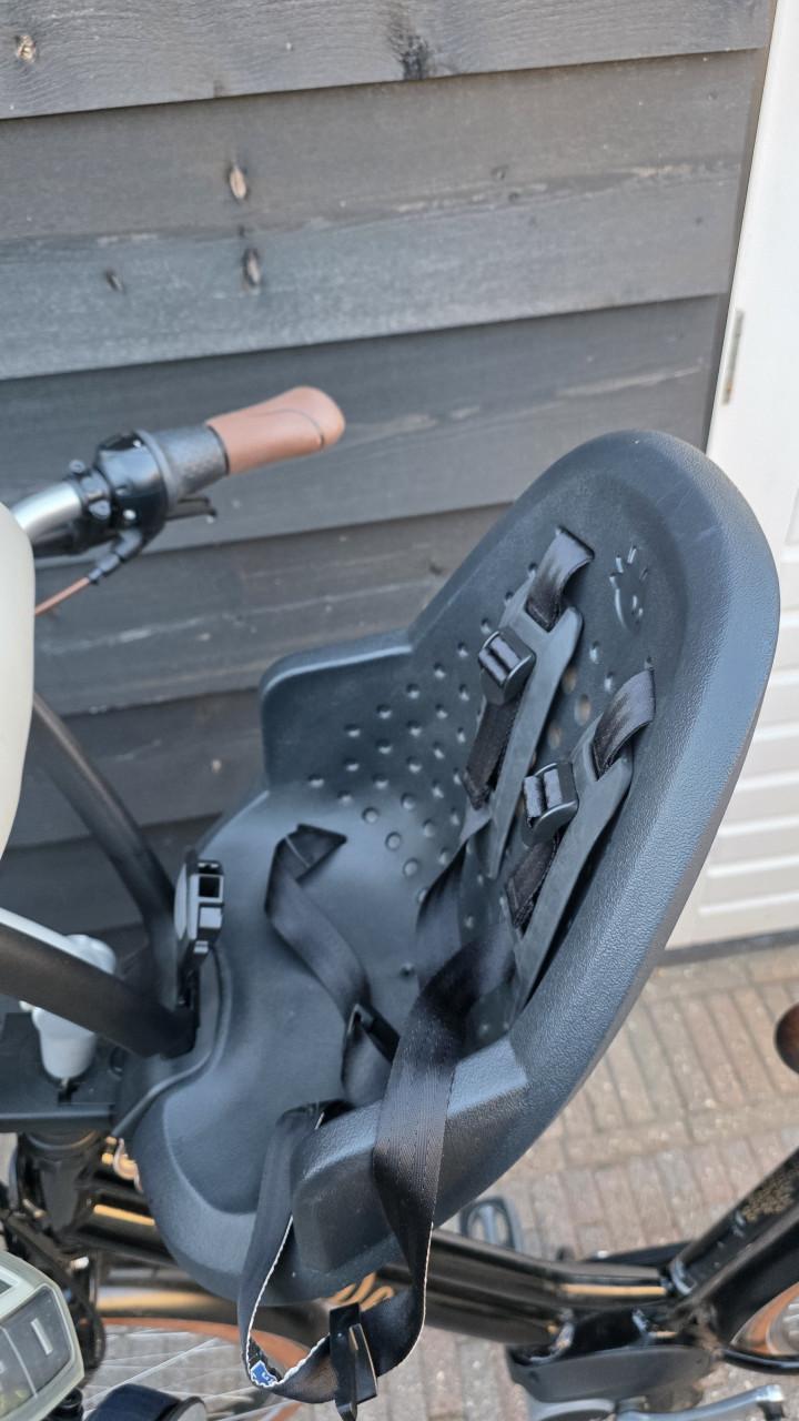 Thule Yepp 2 mini fietsstoeltje