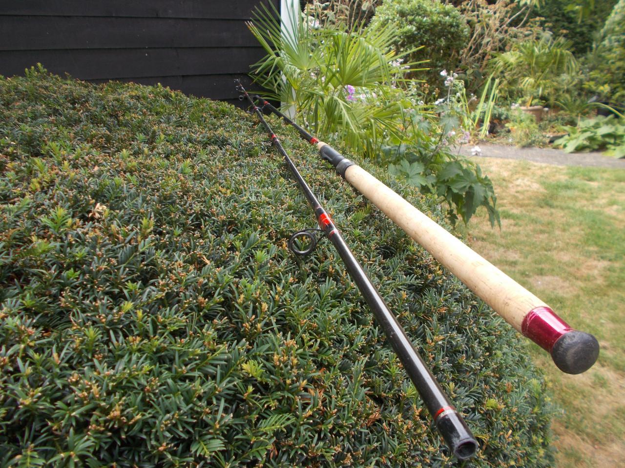 FENWICK SEAHAWK Carbon zeebaars lengte 300 cm w.g. 80-150 gram