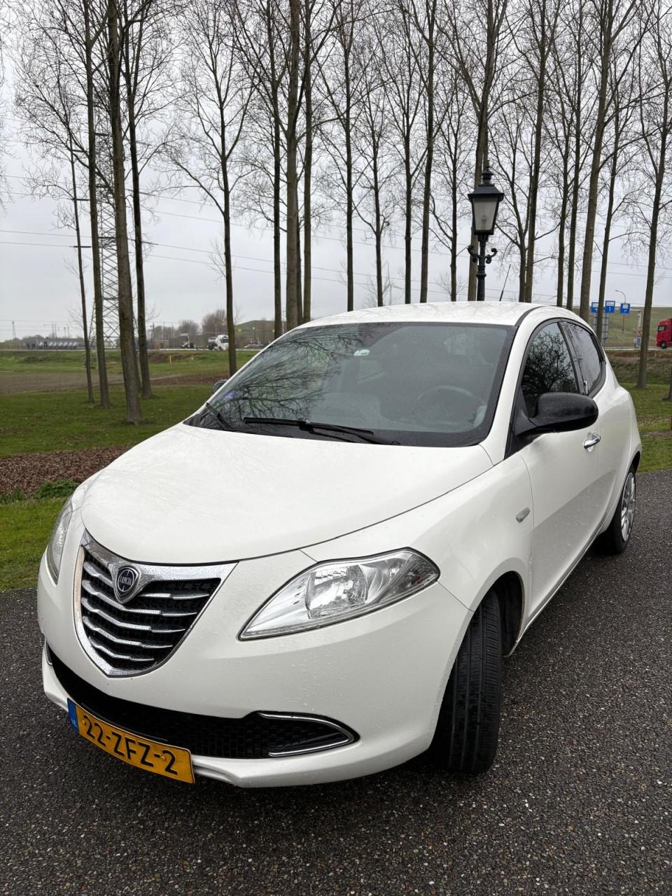 Lancia Ypsilon 0.9 TwinAir GOLD |AUT|CRUISE|A-LABEL