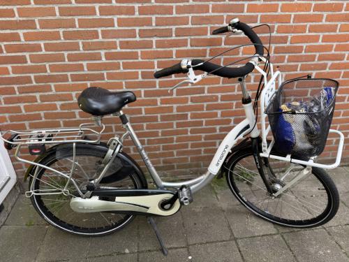 Moederfiets of damesfiets