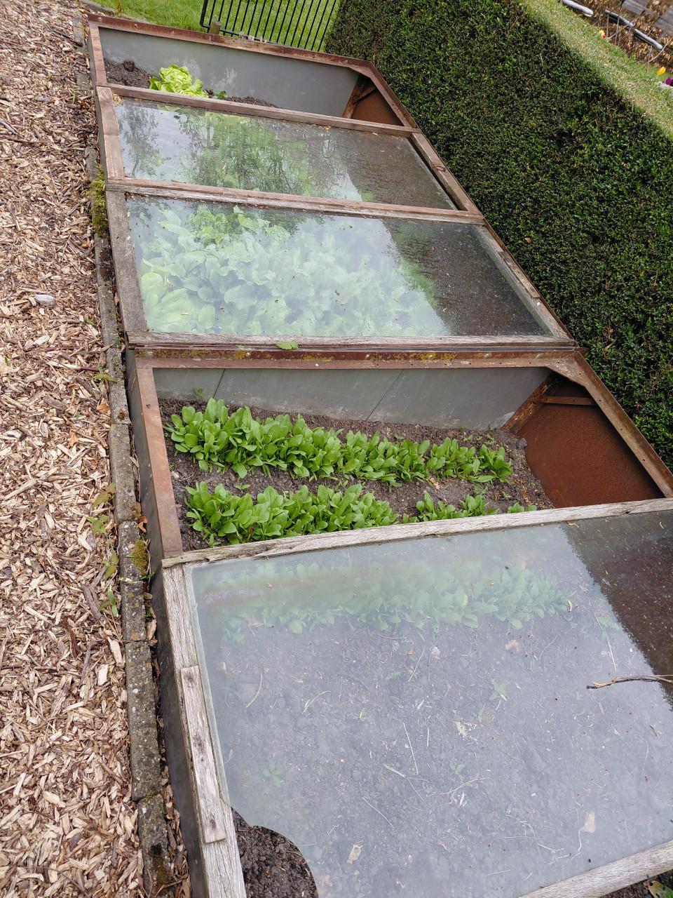 Plat glas moestuin kas