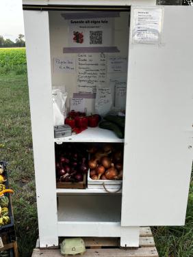 Pompoenen en kalebassen