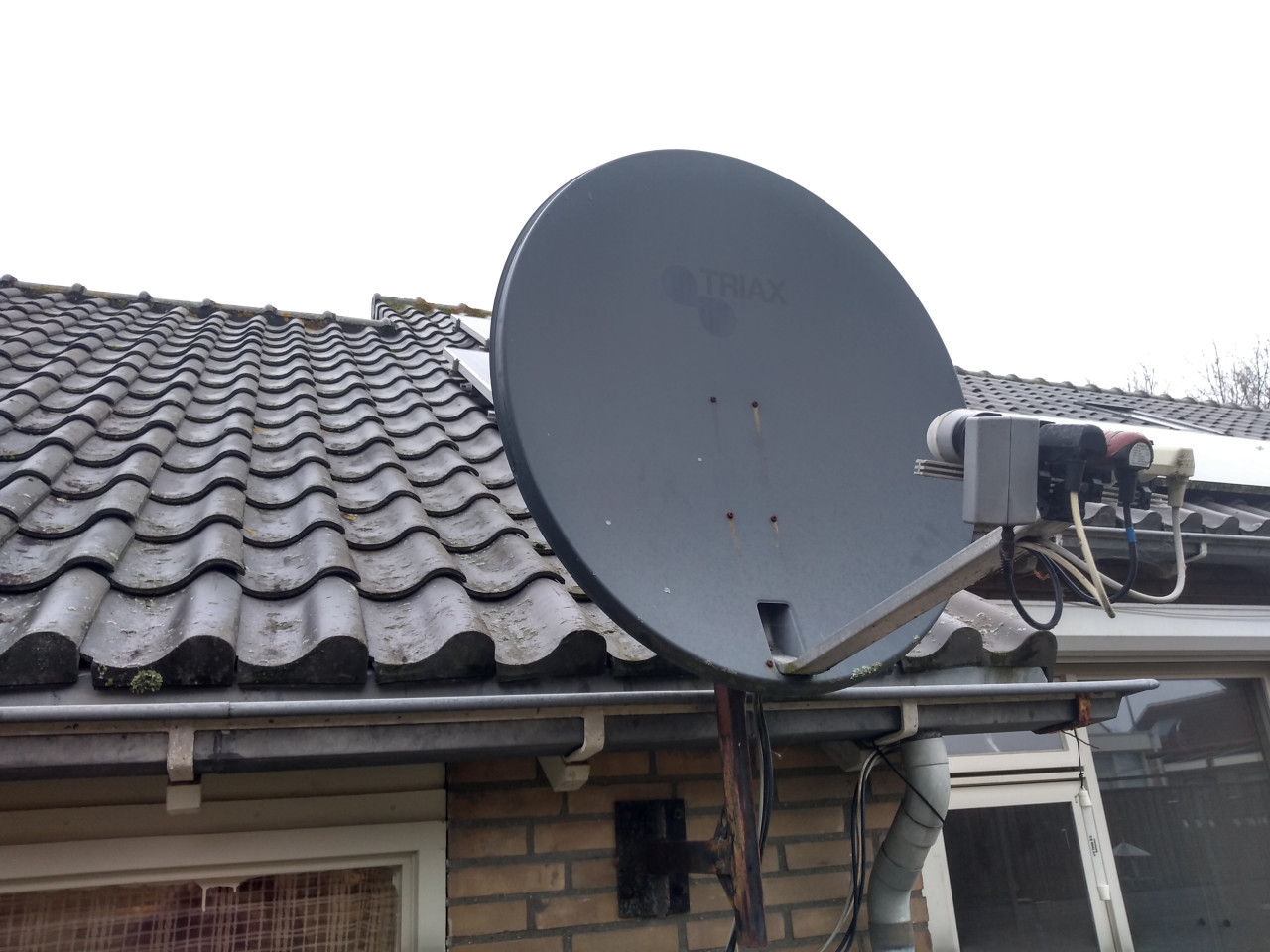 Te Koop schotel en ontvanger voor Canal digitaal
