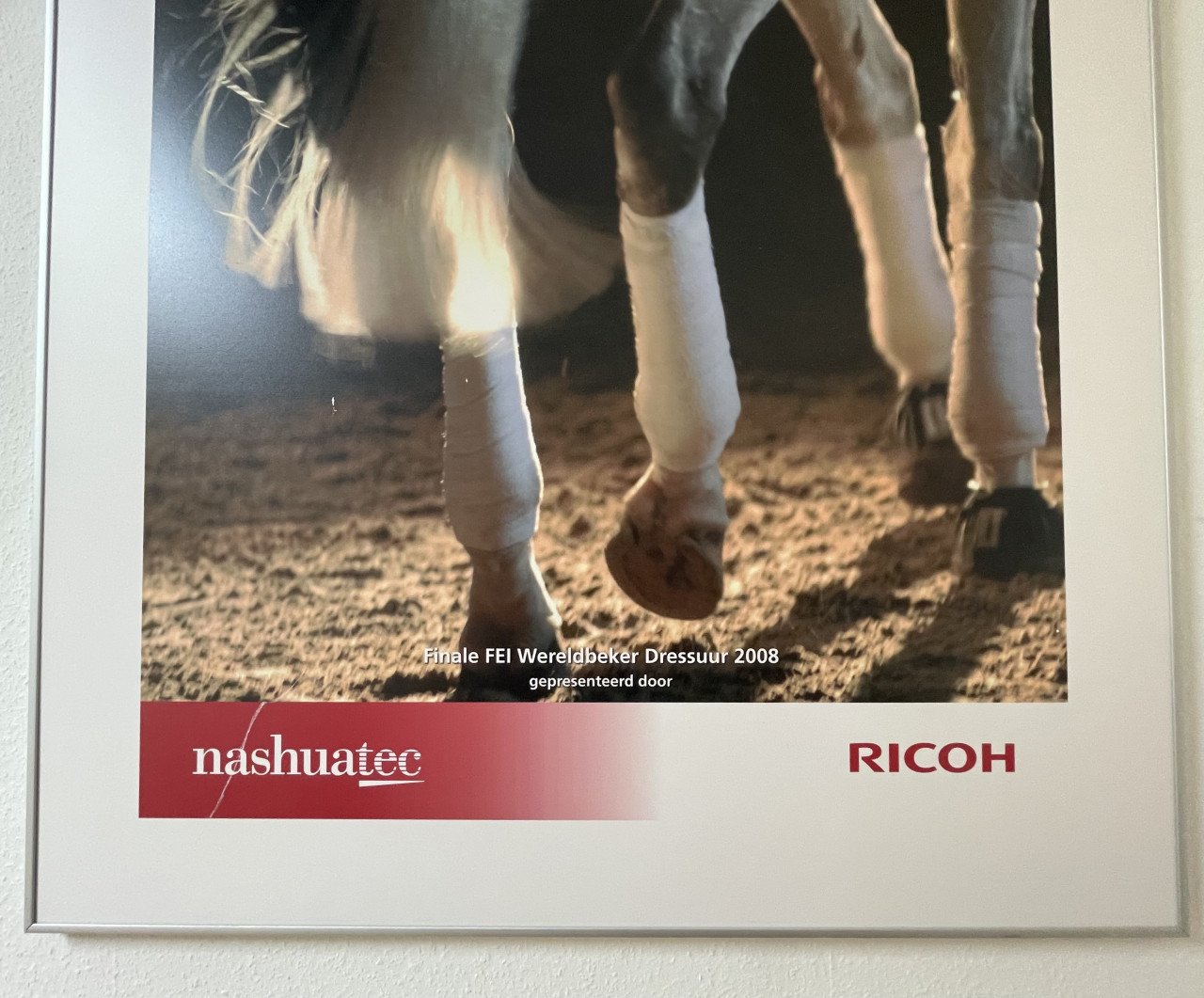 Paard poster