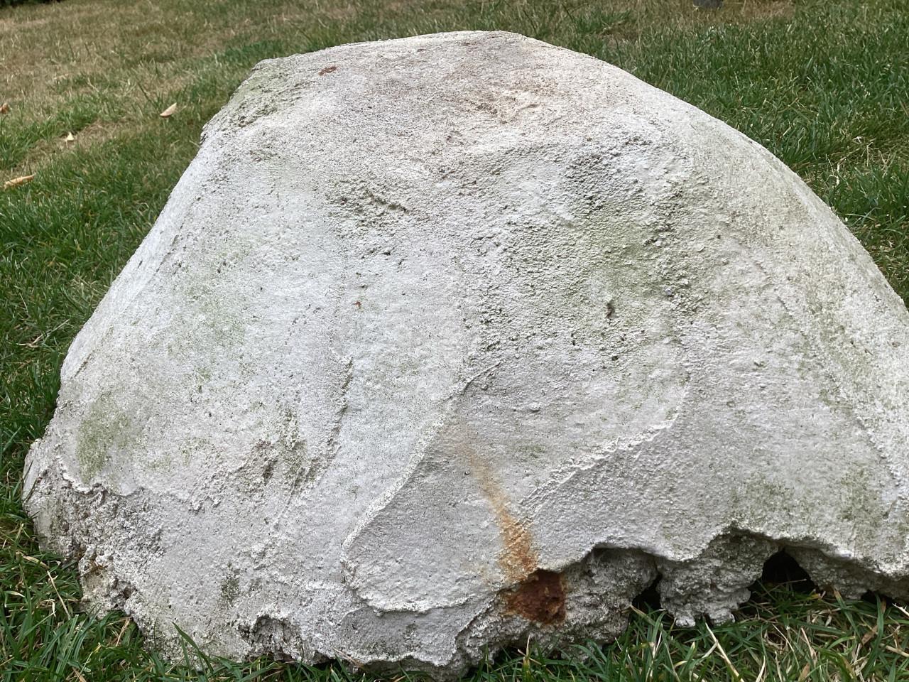 Decoratief betonnen rabarberblad