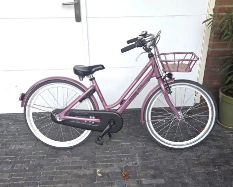 Meisjesfiets 24 inch ALPINA MOOD