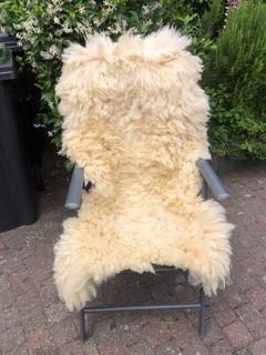 Schapenvachten