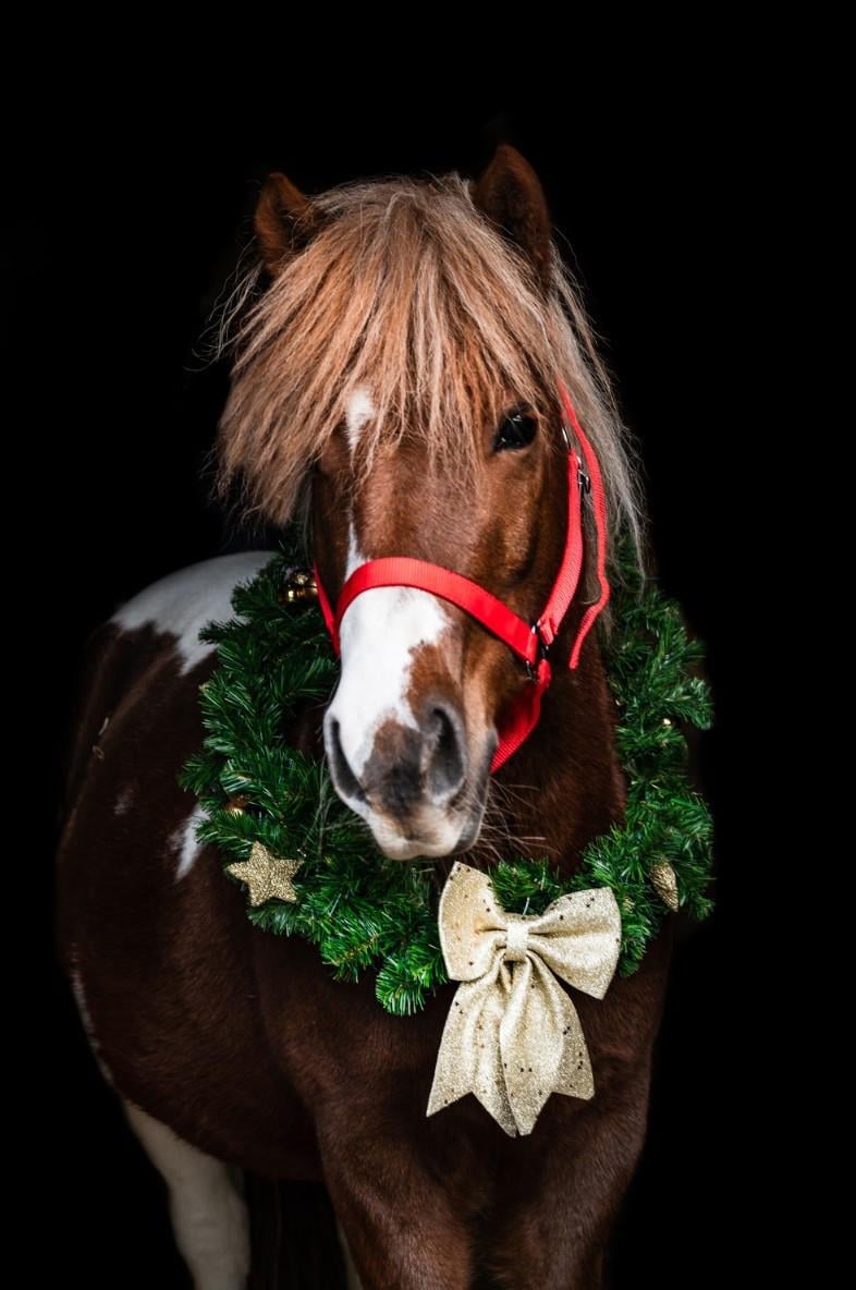 Leuke 8 jarige ruin!