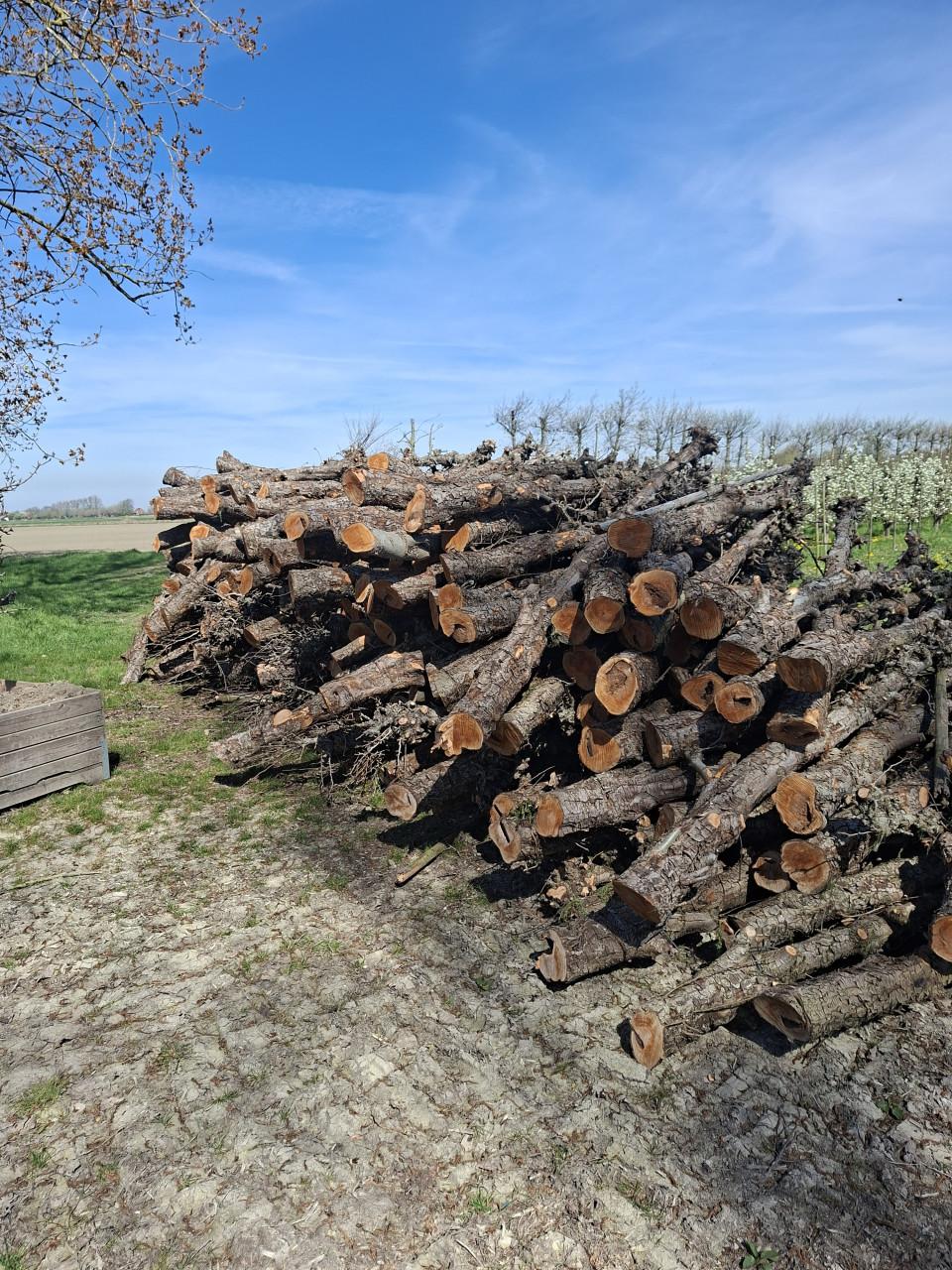Openhaard hout