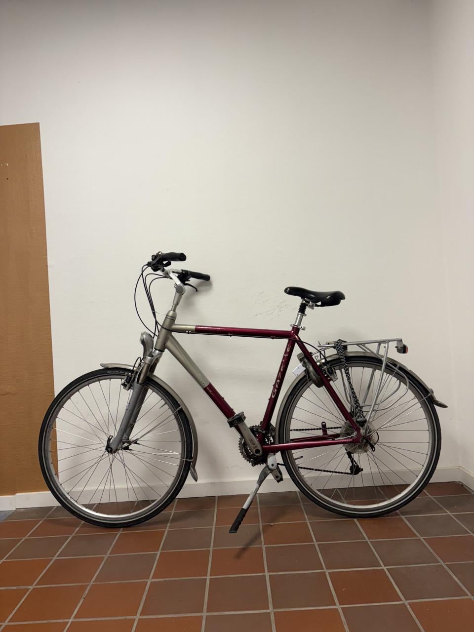 Gazelle gold 24 versnellingen