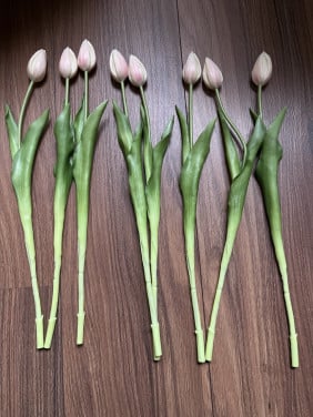 Neptulpen creme-perzik