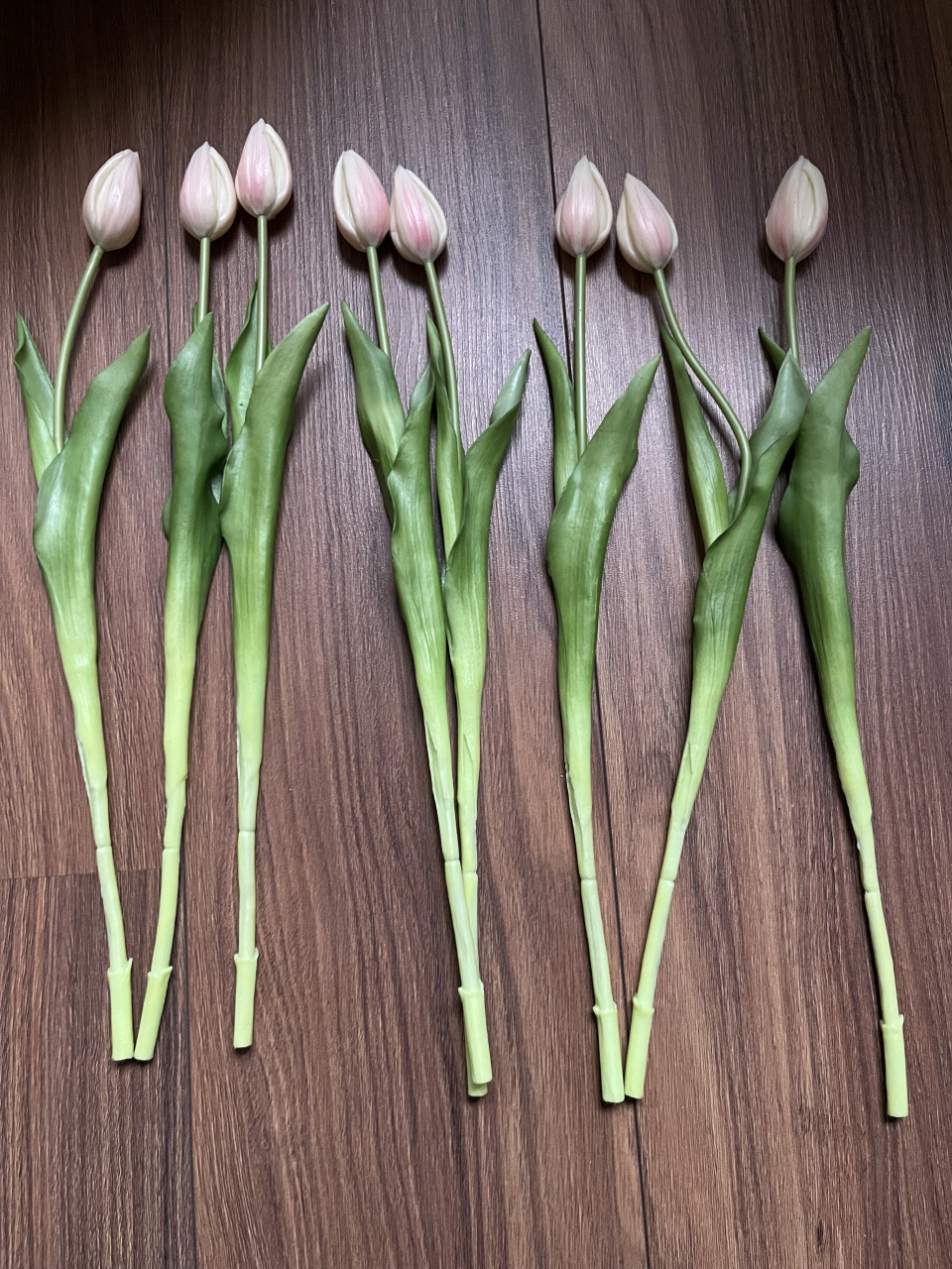 Neptulpen creme-perzik