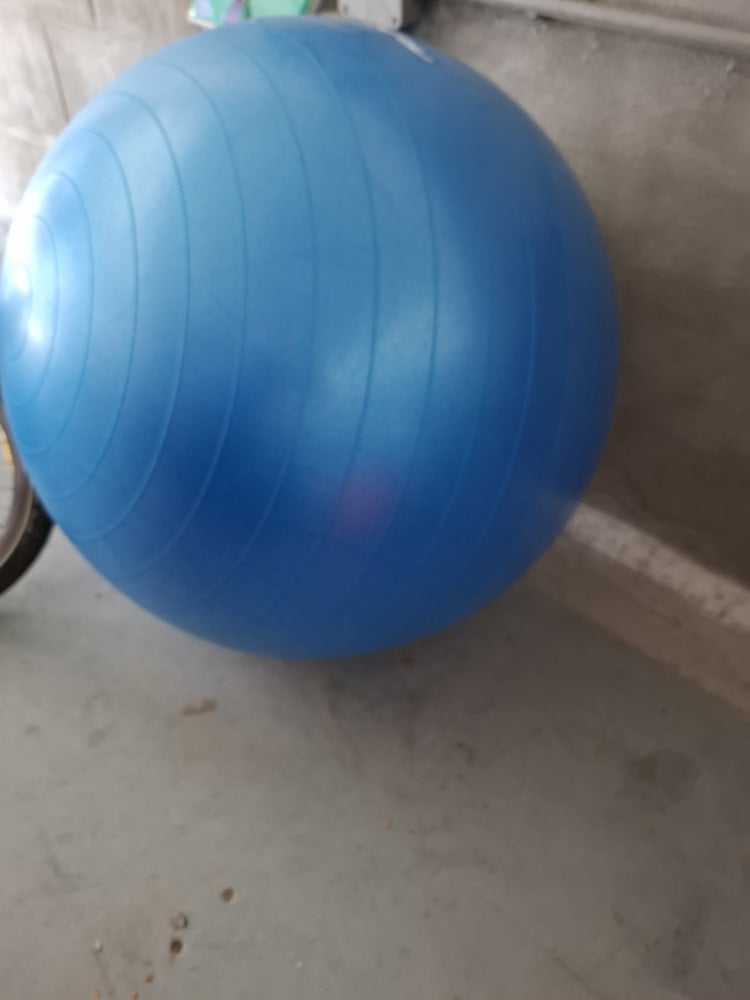 Fitness bal
