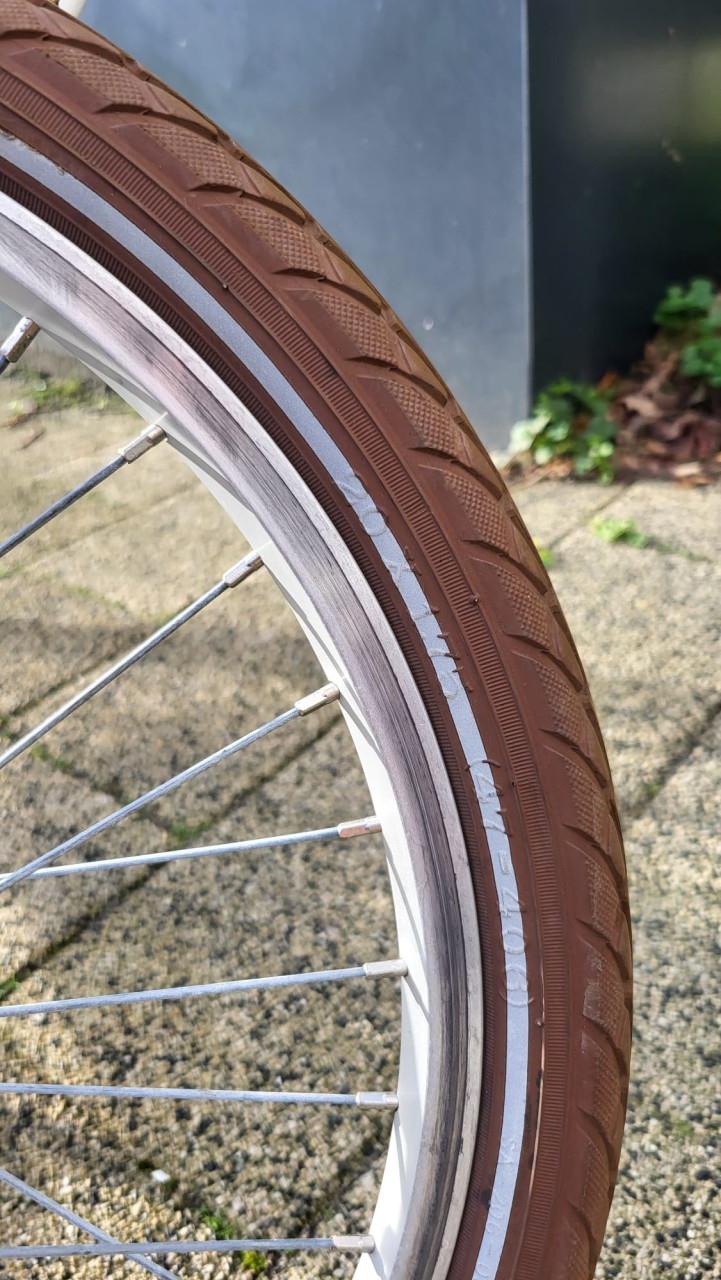 Meisjesfiets Alpina 20 inch met terugtrap rem en handrem voor