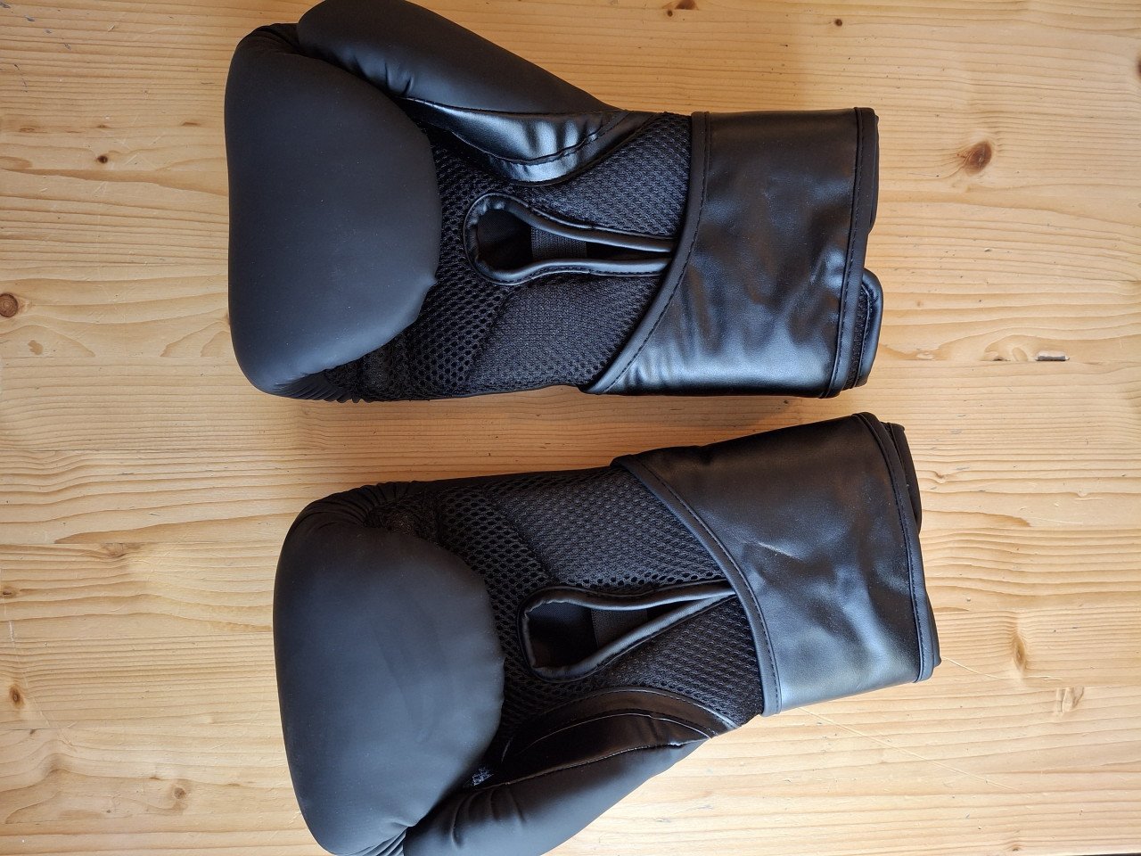 Box handschoenen Evergreen NIEUW