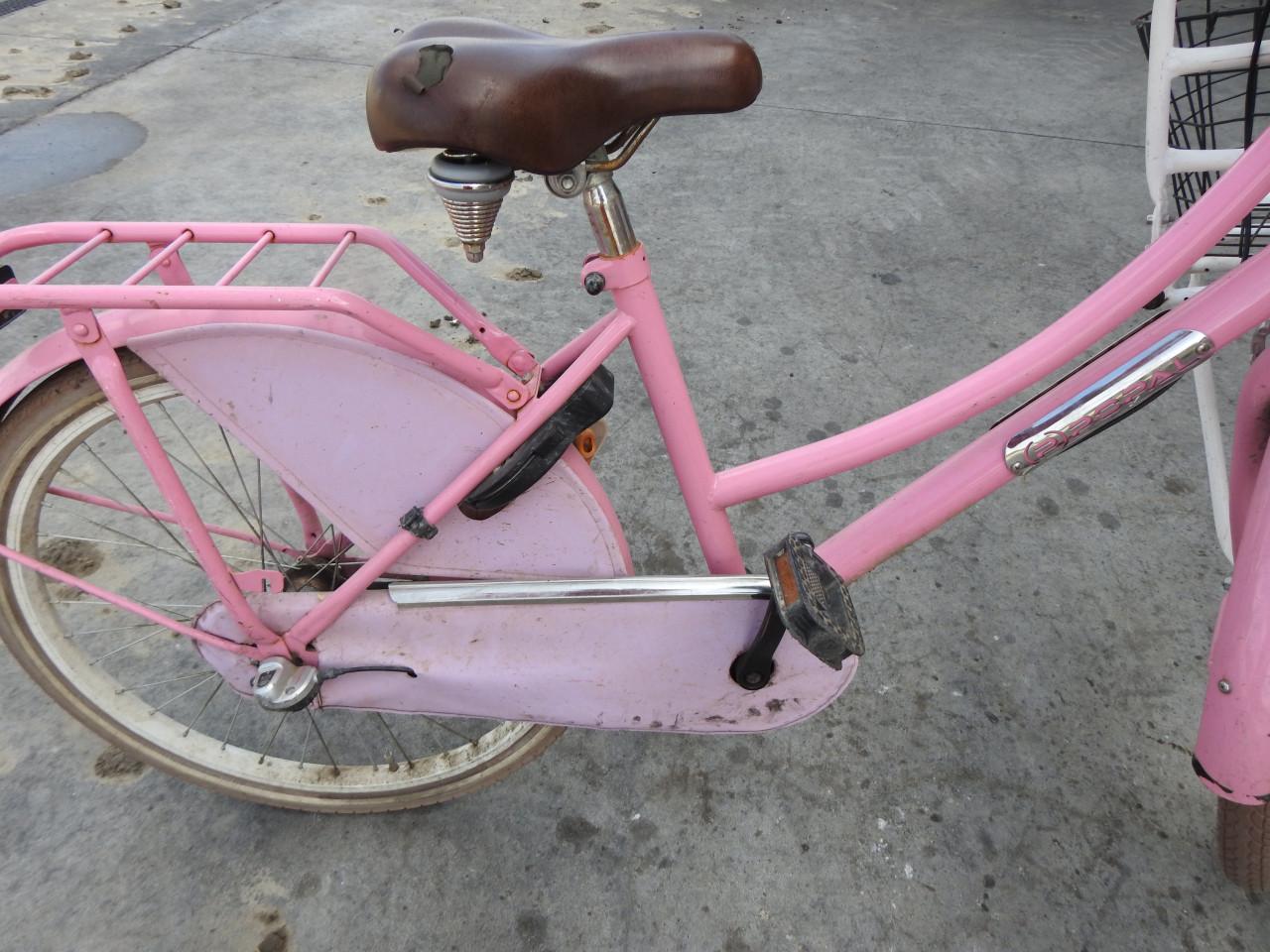 Meiden fiets