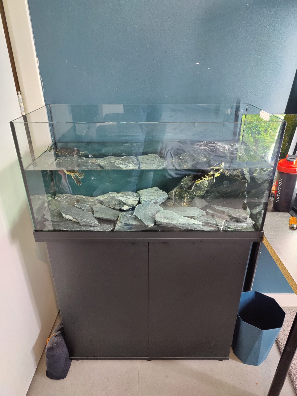 Zeer net aquarium 125L met kast en 2 schildpadden