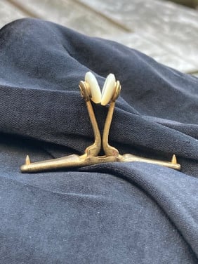 Zeldzame boord pin (Collar clip)