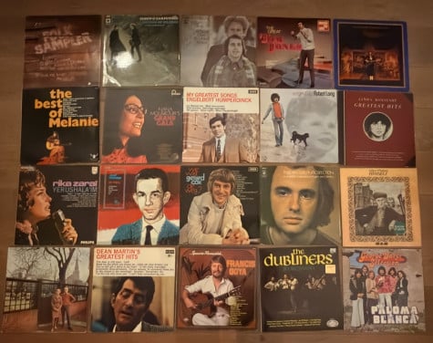 20 stuks diverse lp's