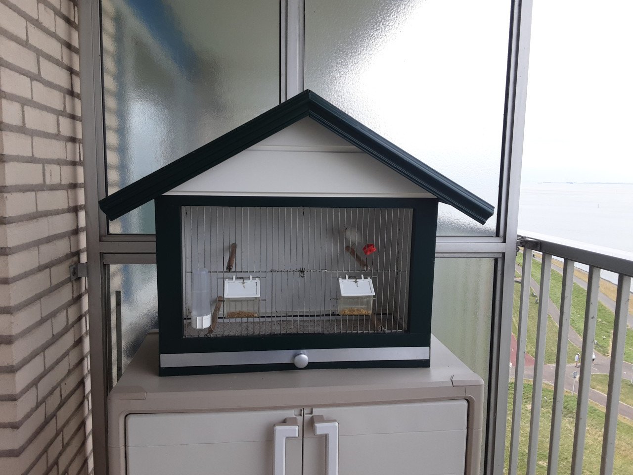 Vogelkooi