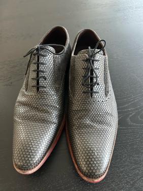 Nette Floris van Bommel vererschoen