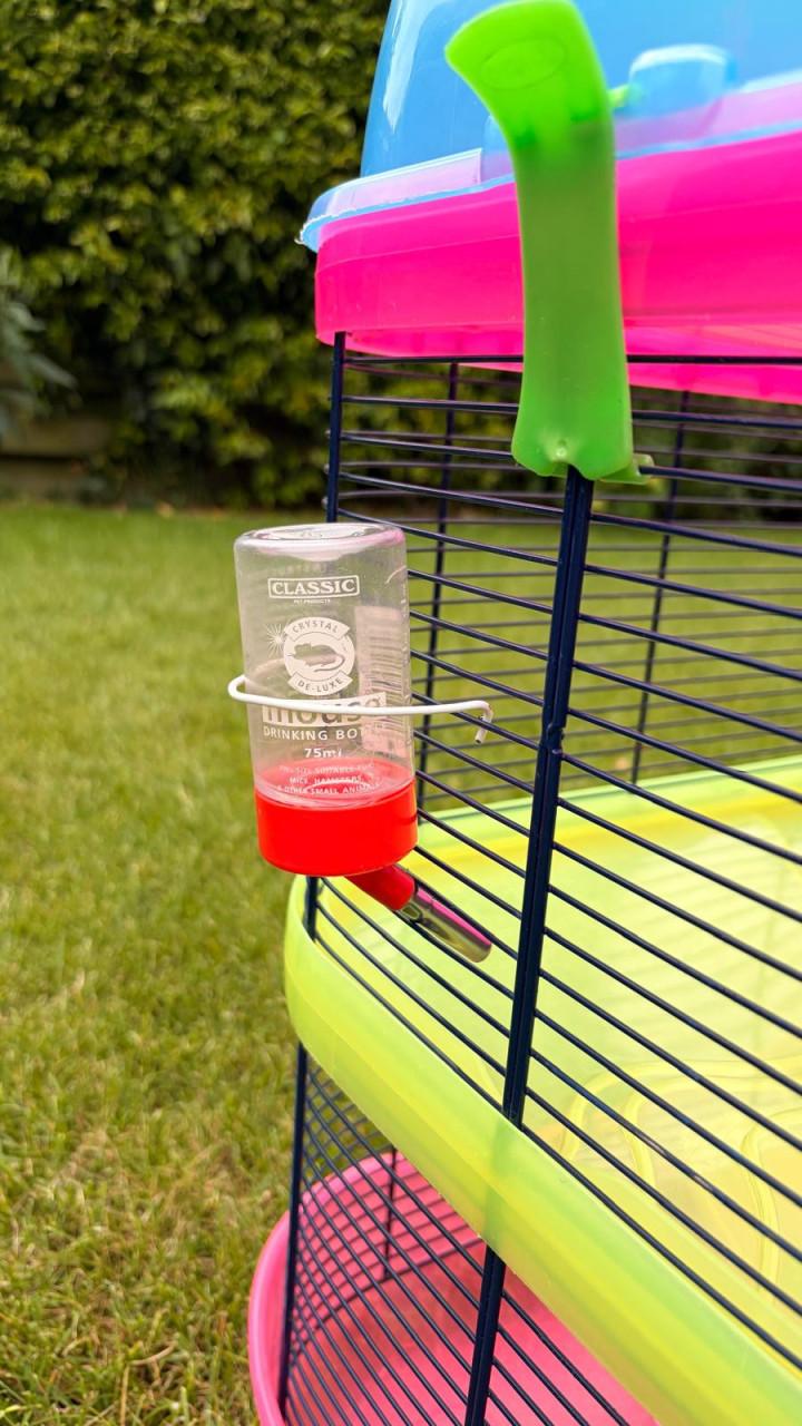 Hamsterkooi