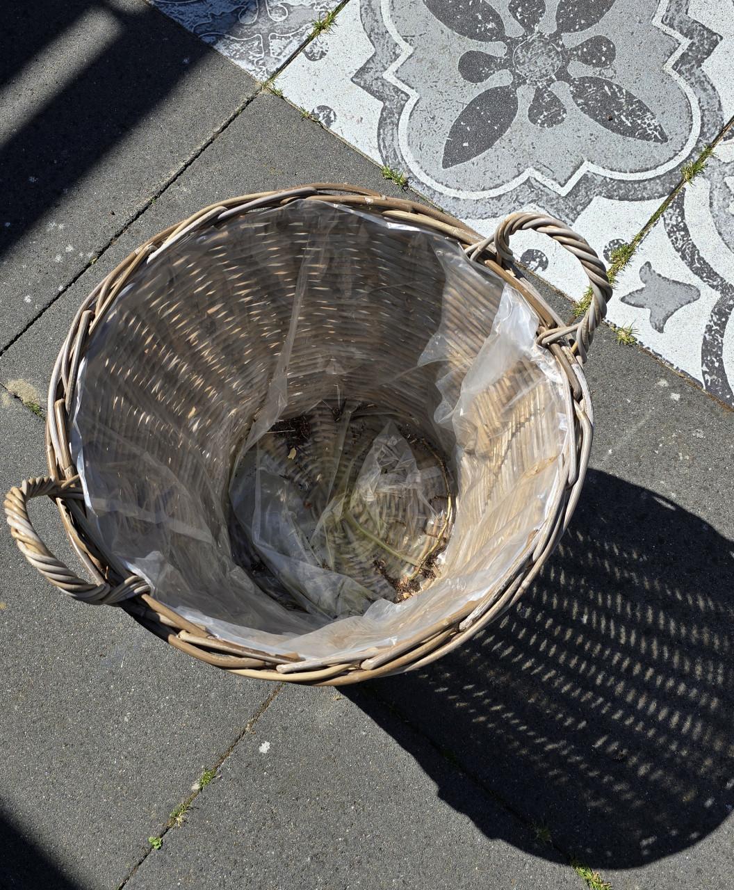 Grote rotan (rieten) mand 50cm