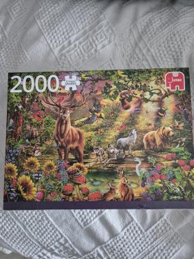 Legpuzzel