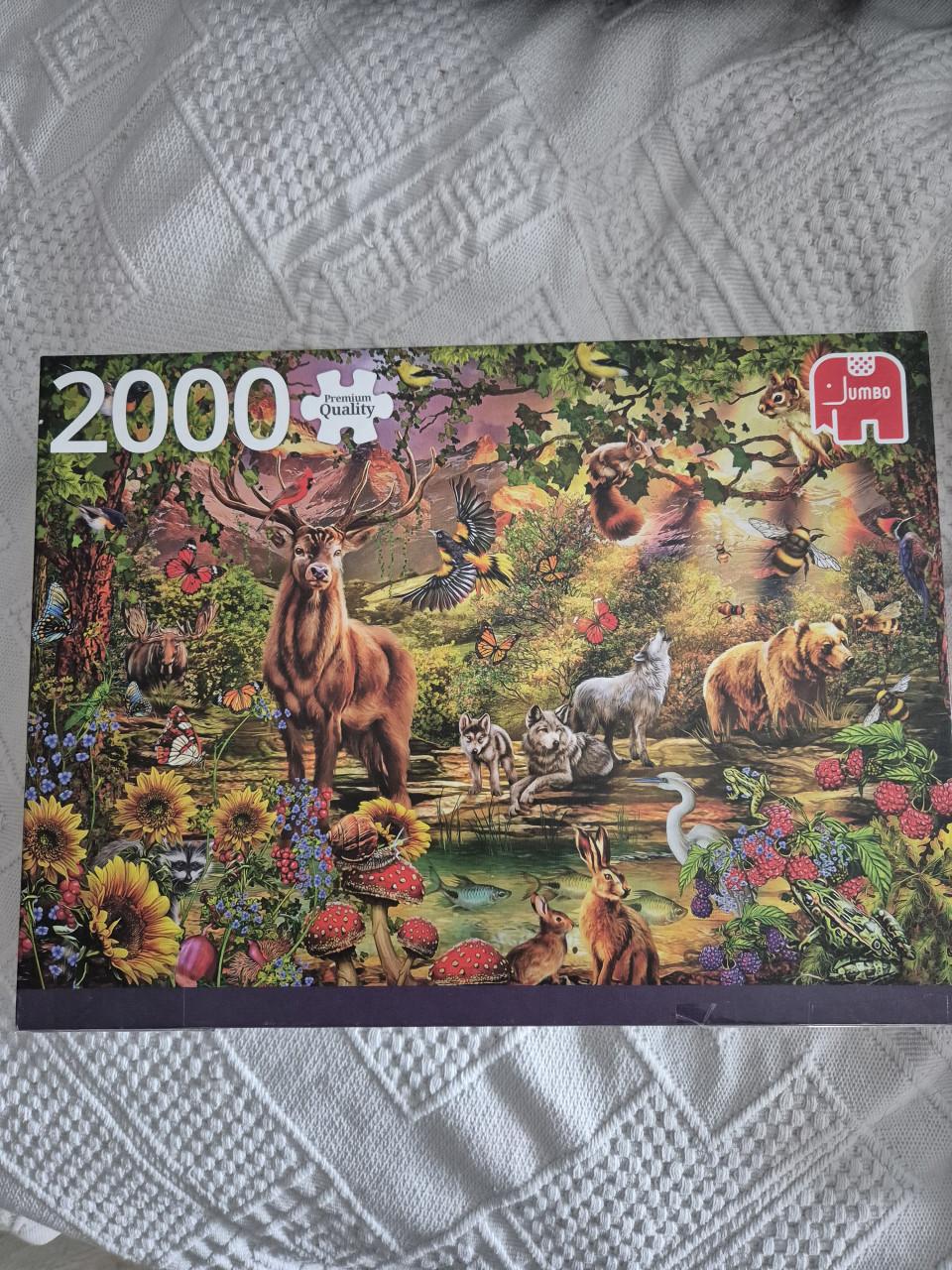Legpuzzel