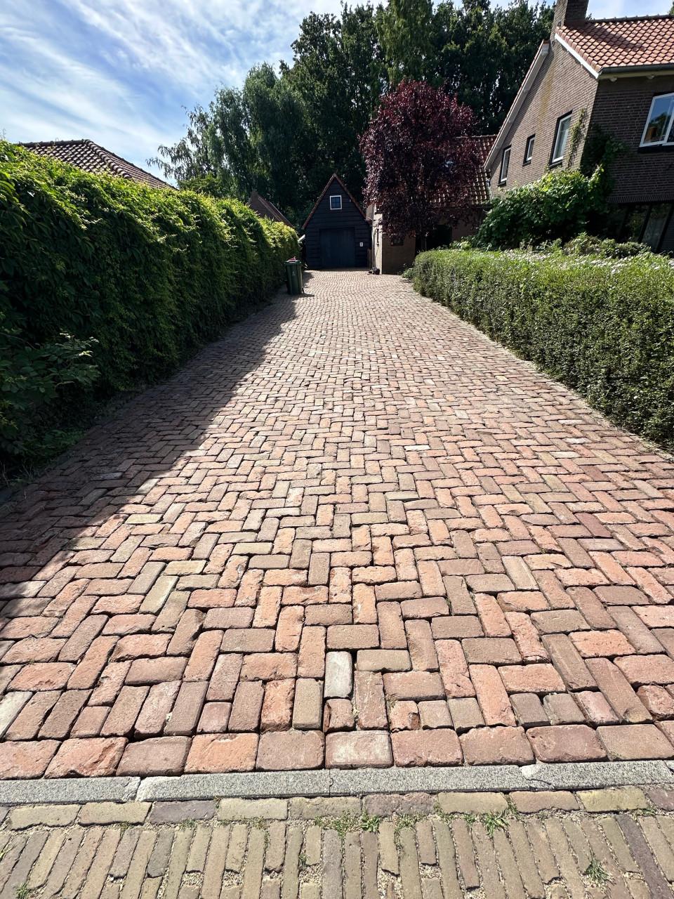 Nog deze zomer uw buitenruimte weer als nieuw? Wij staan voor u klaar!