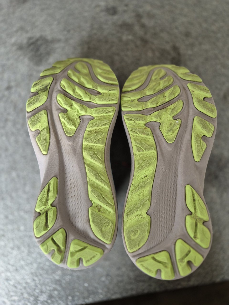 Asics trail hardloopschoenen maat 39