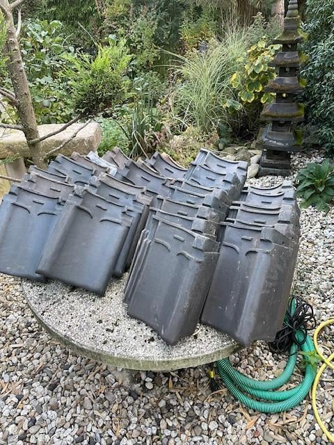 Dakpannen, vleugelpannen