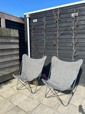 Vlinderstoelen tuin