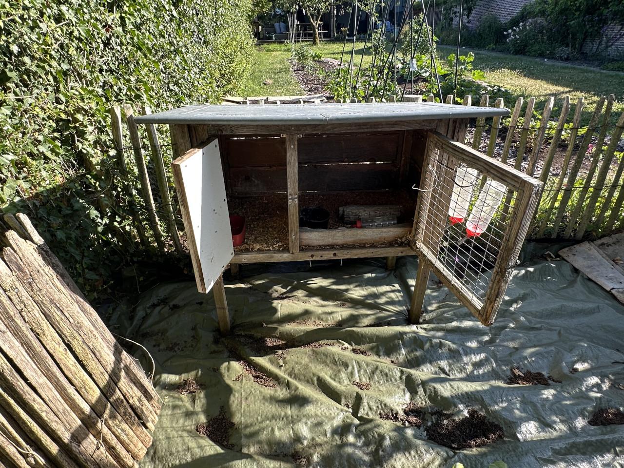 🐰 Leuk houten konijnenhok met zinken dak €85