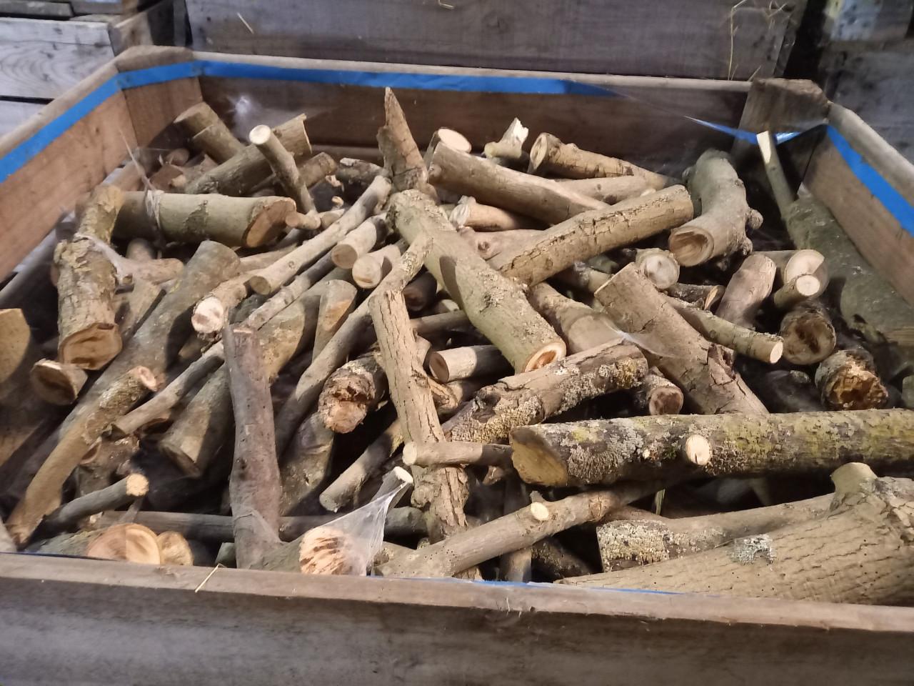 Haardhout diverse soorten los in kist gezaagd/evt-gekliefd €50-120/m3 droog