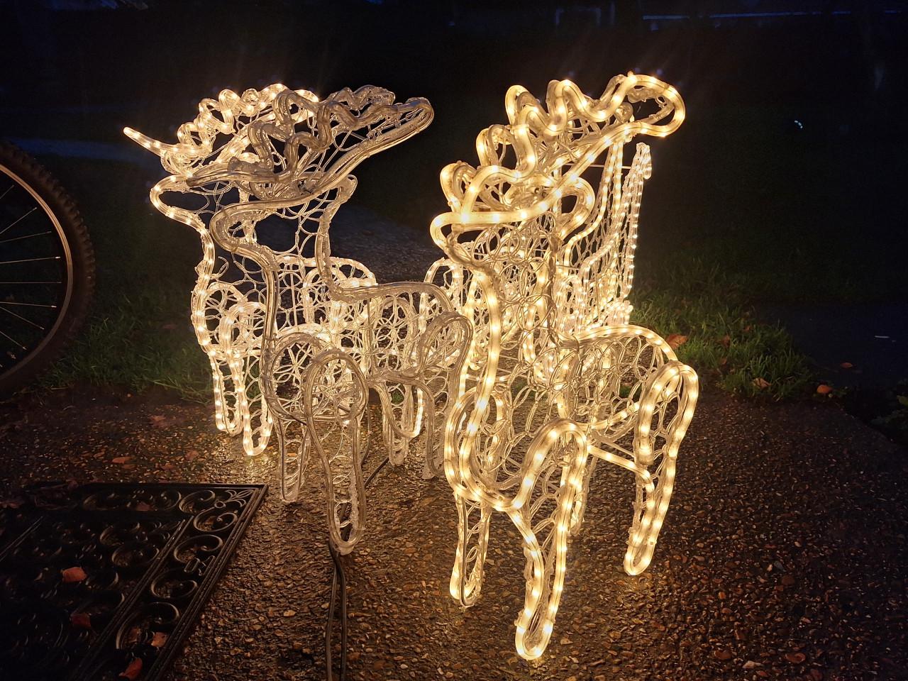 Kerstverlichting, rendieren met slee