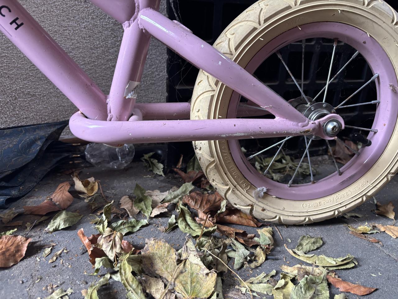 Kinder loop fiets meisje little dutch