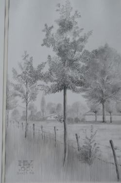 9 x Hendrik Voskuijl (1893 - 1980) potloodtek. bomen (2) o.a. Ommen