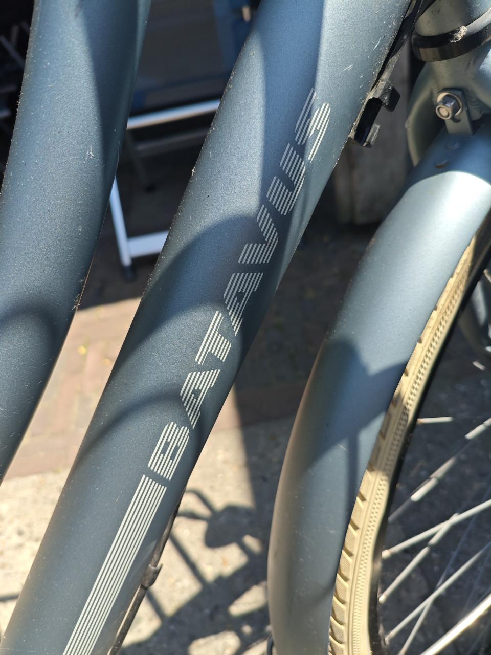 Nette Batavus Packd damesfiets