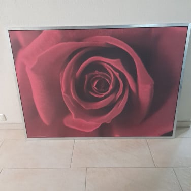 Schilderij roos  140 x 100 ( in goede nette staat )