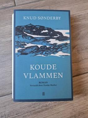Roman Koude vlammen van Knud Sonderby