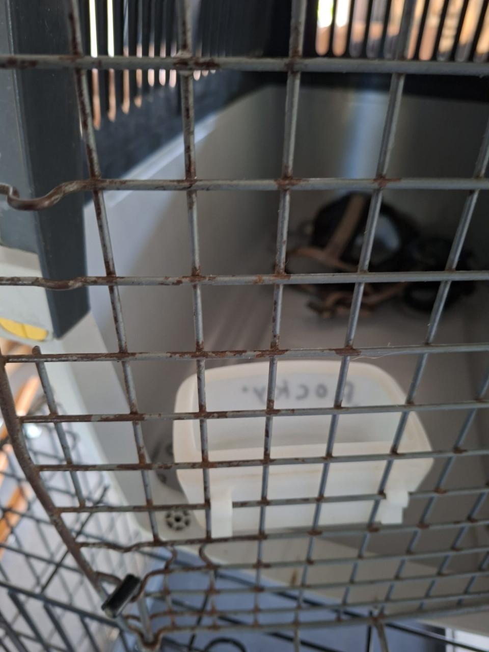 Stefanplast Gulliver Kunststof Reismand / Transportbox grijs