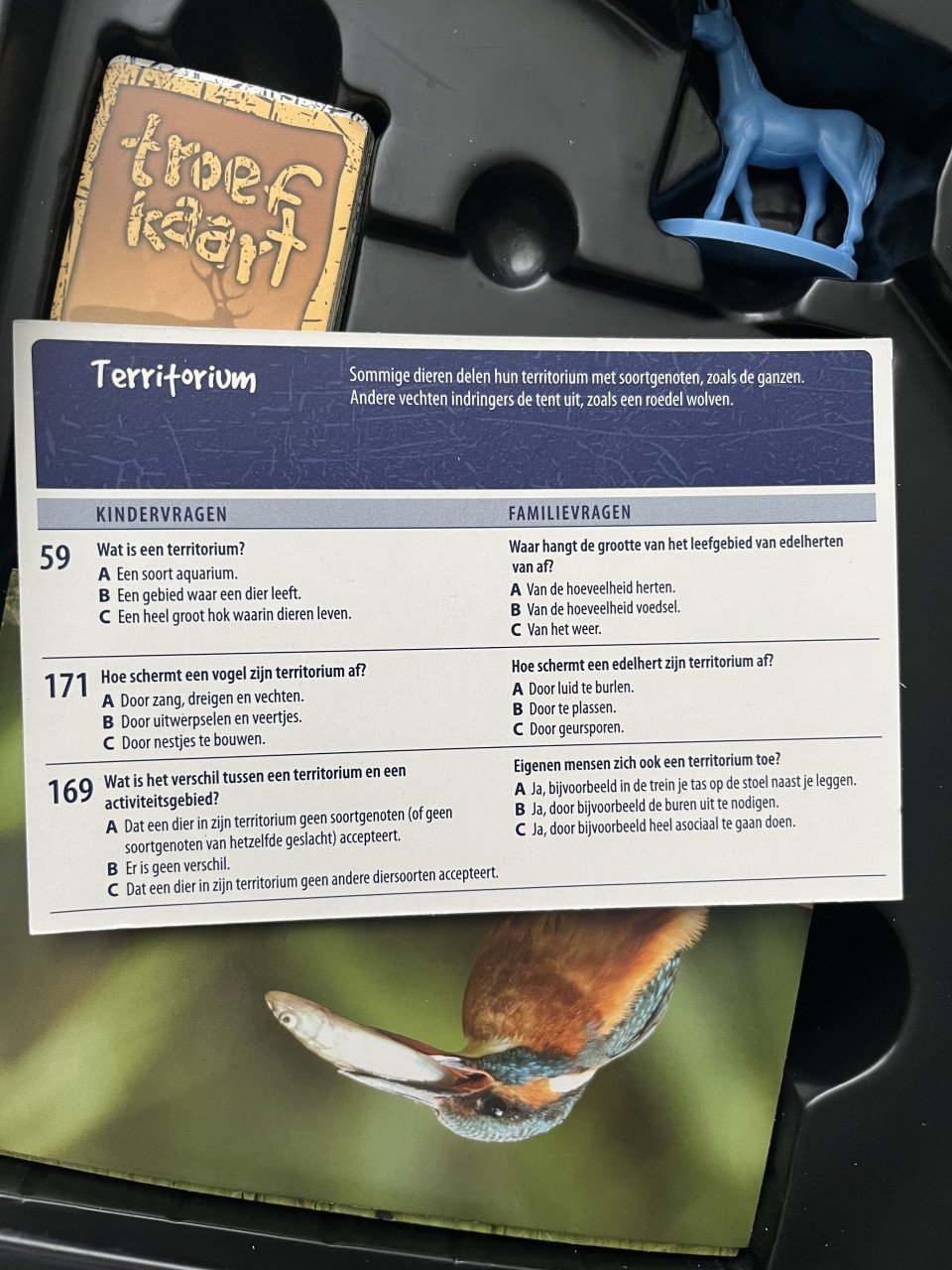 De nieuwe wildernis bordspel