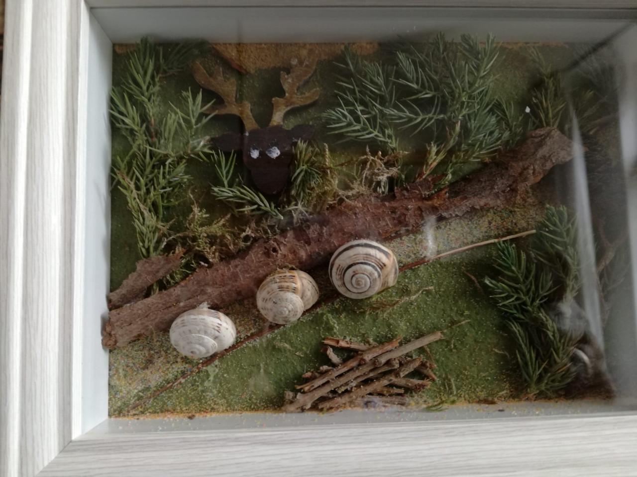 Knutselen met allerlei materiaal, maandelijkseWorkshops voor jong en oud,