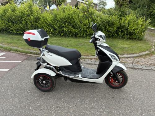 GEEN RIJBEWIJS ? NIET NODIG MET DEZE STOERE NIPPONIA PRIDE !