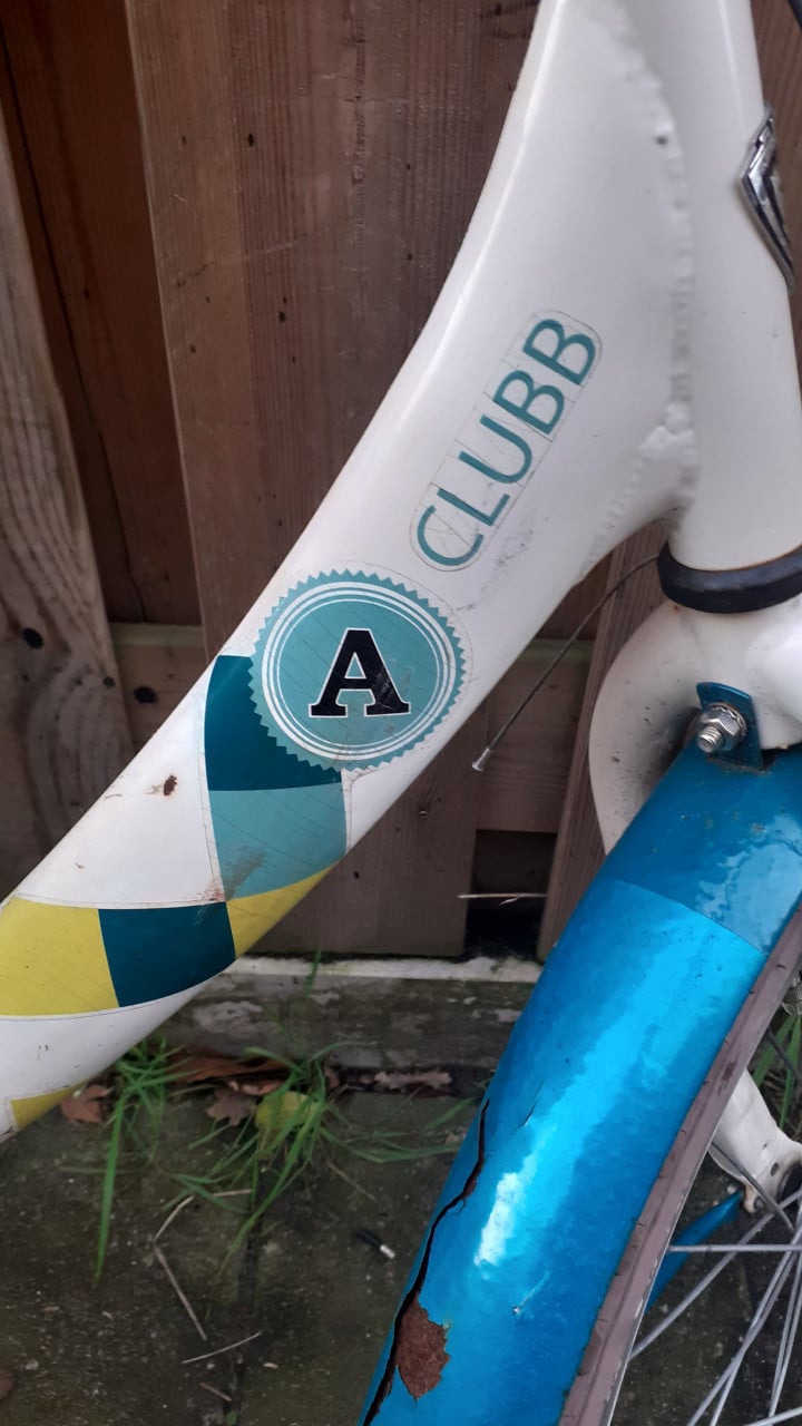 2 x meisjesfiets 22-24 inch Gazelle & A-Clubb