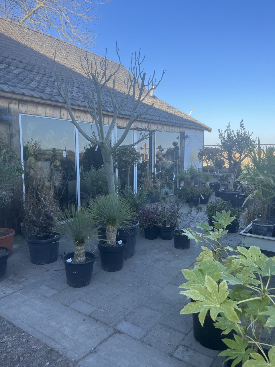 PLANTENKWEKERIJ ‘t GROENE LAND