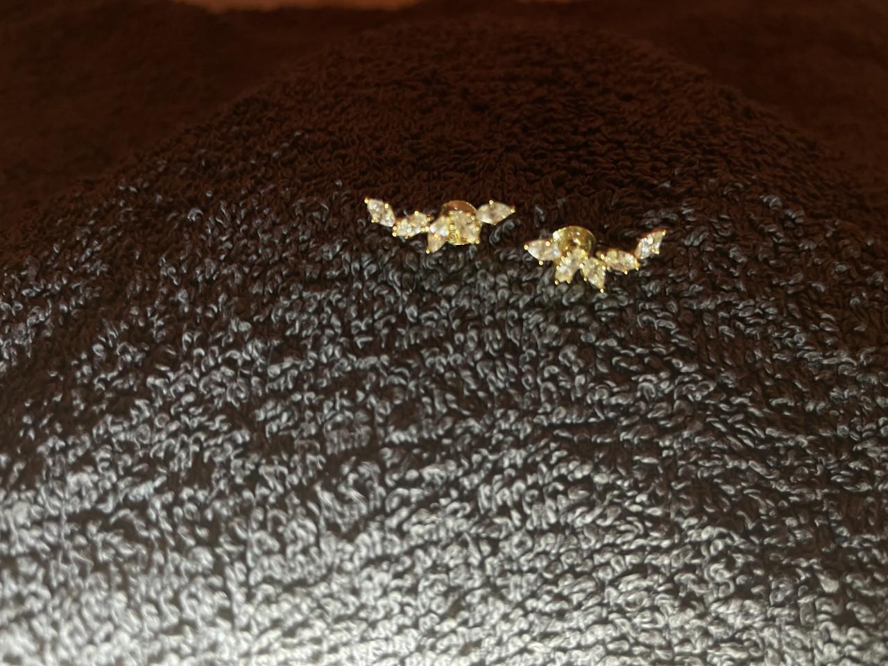 Nieuwe oorbellen/piercings