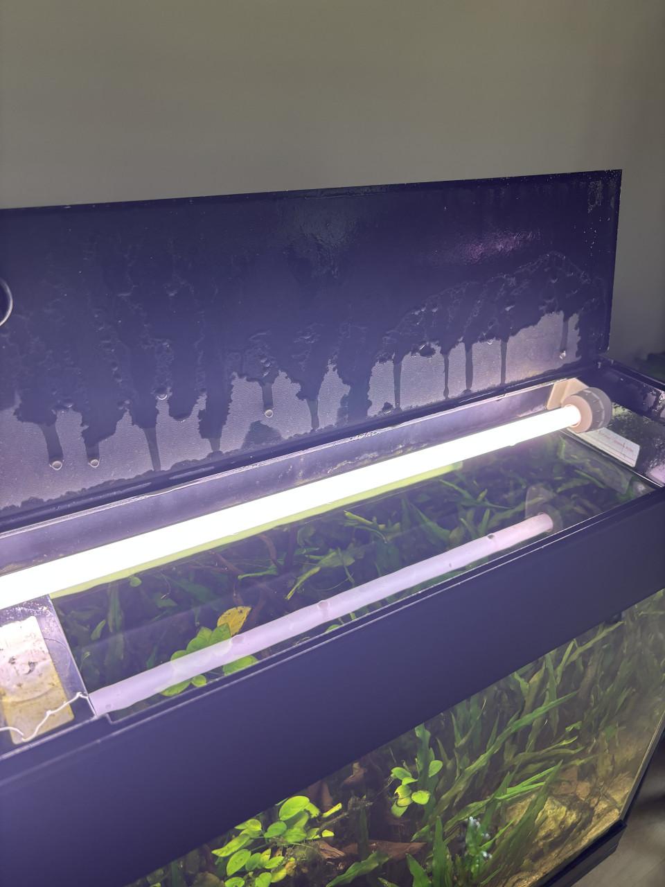 Aquarium met kast