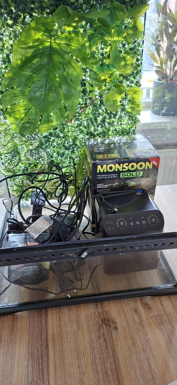 Terrarium inclusief toebehoren